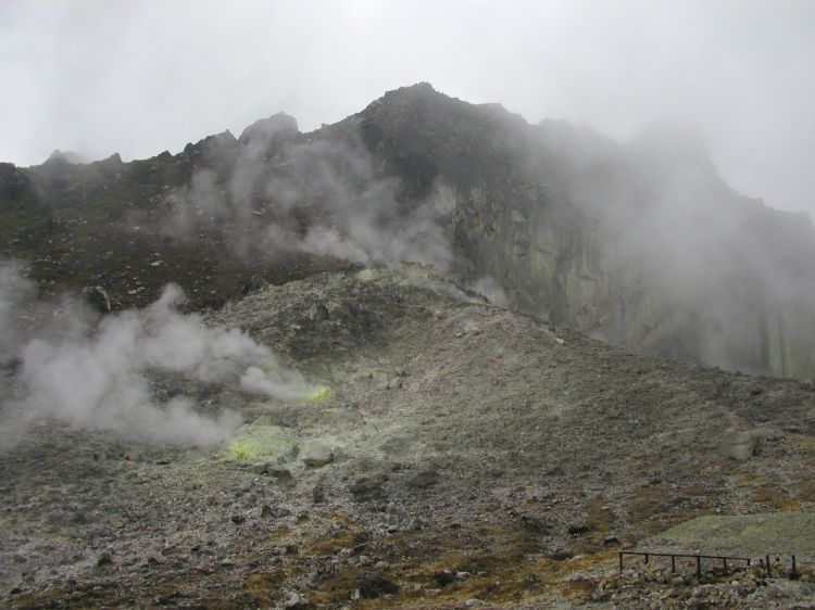 Image has been resized