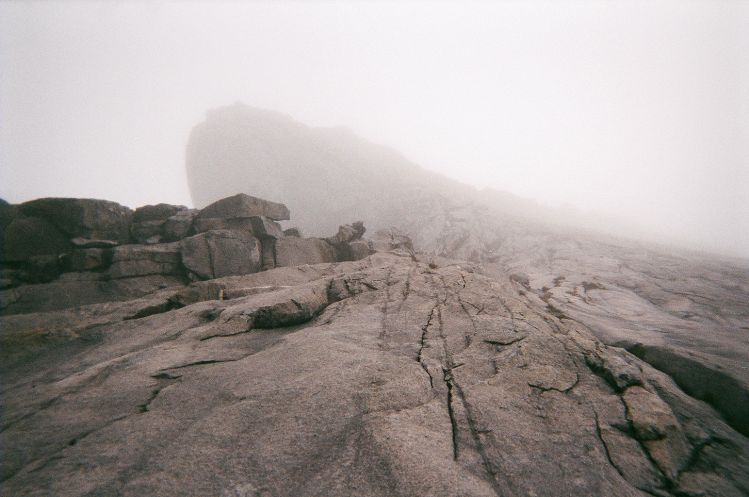 Image has been resized