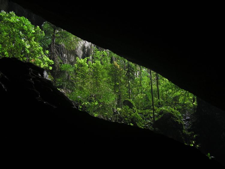 Image has been resized