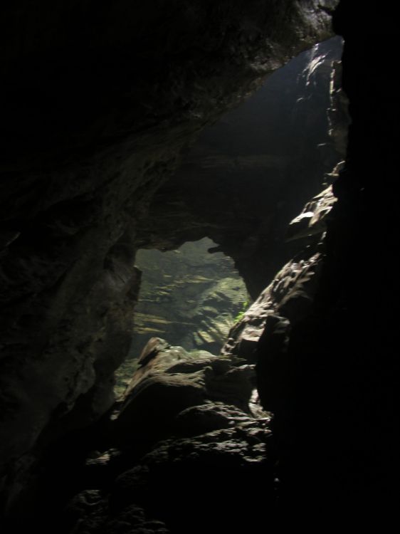 Image has been resized