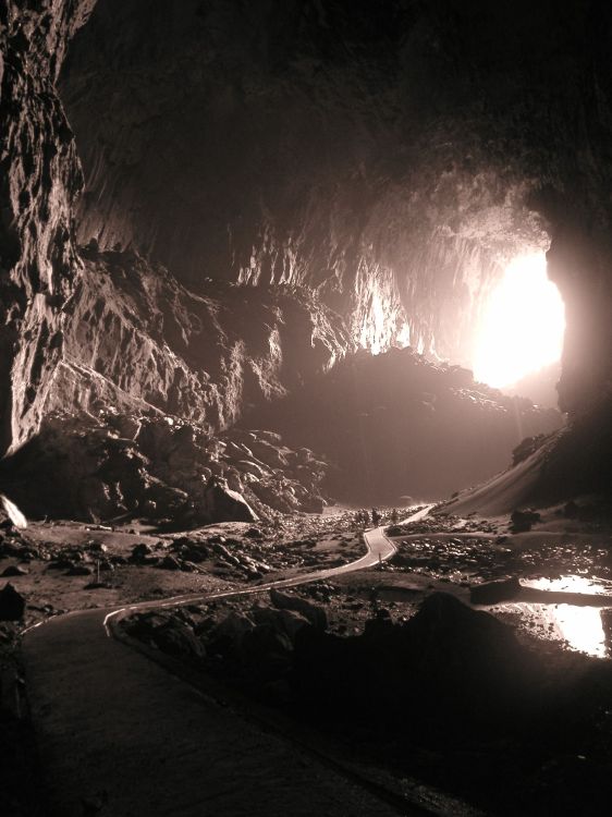 Image has been resized