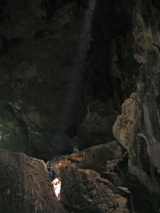Image has been resized