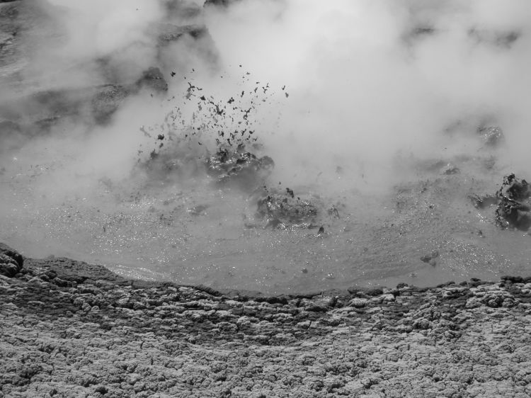 Image has been resized